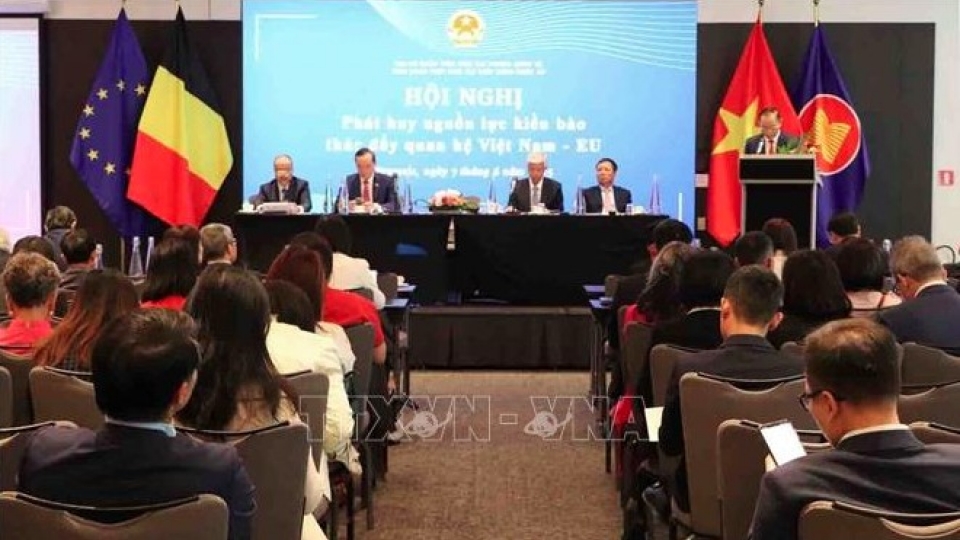 ViLaB rallies overseas experts to support Vietnam’s strategic development